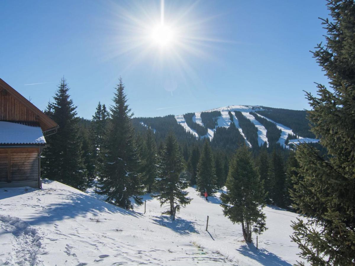 Beautiful Holiday Home In Weinebene With Sauna Obergösel 외부 사진